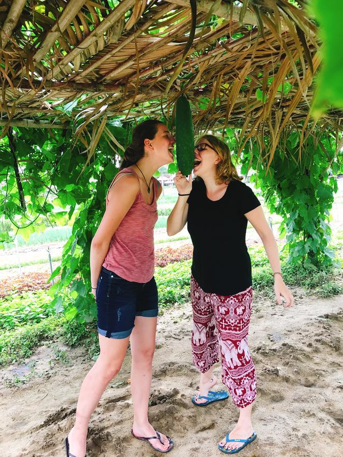 Nature Homestay Hội An Extérieur photo